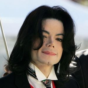 Antes de comprar o catálogo dos Beatles, Michael Jackson começou a adquirir outras coleções de músicas, incluindo trabalhos de Sly Stone, Len Barry, Soul Survivors e Dion; essas primeiras compras custaram menos de US$ 1 milhão, aproximadamente R$ 5,2 milhões na cotação de hoje, segundo o Los Angeles Times.