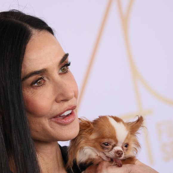 Pilaf, a cachorrinha de Demi Moore, já fez ensaio fotográfico para a revista 'Dogue' - a Vogue para pets.