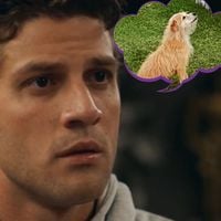 O último a saber de tudo em 'Quem Ama Cuida': dúvidas do galã de Chay Suede viram meme e divertem fãs da novela