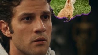 O último a saber de tudo em 'Quem Ama Cuida': dúvidas do galã de Chay Suede viram meme e divertem fãs da novela