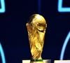 A atual Taça da Copa do Mundo foi criada pelo escultor italiano Silvio Gazzaniga em 1971, após vencer um concurso