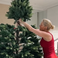 Você pode estar afastando a riqueza: descubra o erro comum ao desmontar a árvore de Natal; no Feng Shui, esta é a data exata para ativar a abundância em casa