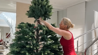 Você pode estar afastando a riqueza: descubra o erro comum ao desmontar a árvore de Natal; no Feng Shui, esta é a data exata para ativar a abundância em casa