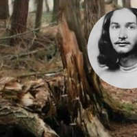 Jovem de 22 anos desapareceu de bicicleta em 1973. 50 anos depois, seus restos mortais foram encontrados em um lugar inesperado