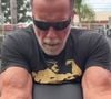 Aos 78 anos, Arnold Schwarzenegger revelou em entrevista à CNBC a filosofia que segue para envelhecer com saúde: continuar se movimentando diariamente, mesmo após cirurgias e dores nas articulações