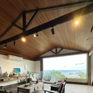 Mansão de Mateus Solano tem vista para a Pedra de Gávea