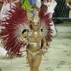 Em 2009, consolidando seu nome no Carnaval carioca, Viviane Araújo apostou em uma fantasia prateada e vermelha que valorizou seu corpo