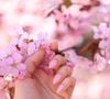 Rosa natural: O rosa suave continua entre as cores de unhas mais versáteis para a primavera, com efeito cremoso que deixa as mãos com aparência uniforme e saudável