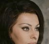 A repercussão envolvendo Sophia Loren cresceu no TikTok e no Instagram com milhares de compartilhamentos da frase