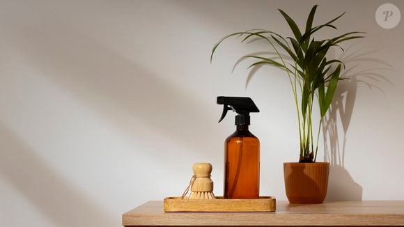 Você pode comprar um aromatizador já pronto para a sua casa, mas também tem a opção de fazer você mesma uma fragrância personalizada