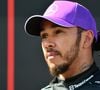 Poucos sabem, mas Lewis Hamilton, piloto que já venceu a Fórmula 1 sete vezes é vegano