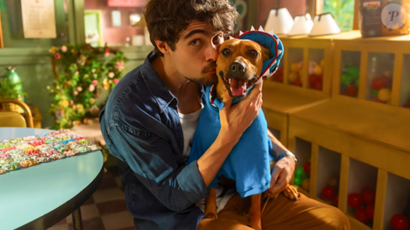 O contato visual e físico com um cachorro estimula o sistema de recompensa do cérebro e desperta o instinto de cuidado.