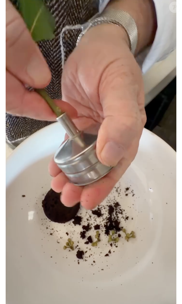 Segundo Donato de Santis, é importante fazer a limpeza pelo menos uma vez por mês