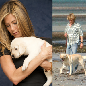 'Nem seis, nem dezoito: a quantidade de cachorros que 'foram' Marley em 'Marley e Eu' vai deixar de queixo caído até o maior fã de pets