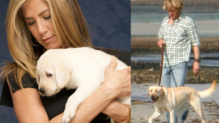 'Nem seis, nem dezoito: a quantidade de cachorros que 'foram' Marley em 'Marley e Eu' vai deixar de queixo caído até o maior fã de pets