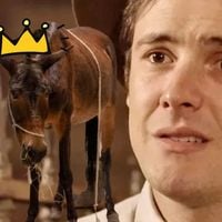 Resumo de 'Êta Mundo Melhor!' (28/07 a 02/08): Salve, Policarpo! Burro dá coice em Zulma após Candinho cair em golpe sujo da vilã