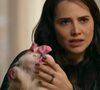 A espiã de quatro patas! Adriana arma plano inusitado com cachorrinha para desmascarar Pilar em 'Quem Ama Cuida' e descobre segredo MACABRO da vilã; entenda
