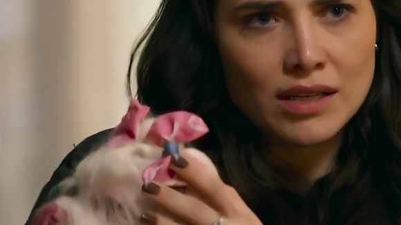 A espiã de quatro patas! Adriana arma plano inusitado com cachorrinha para desmascarar Pilar em 'Quem Ama Cuida' e descobre segredo MACABRO da vilã; entenda