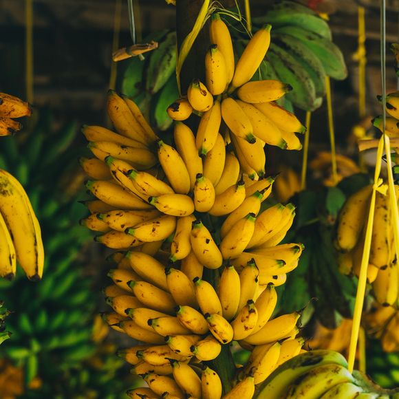 A banana fornece energia imediata e melhora a contração muscular durante o treino, prevenindo cãibras e ajudando a ganhar massa muscular