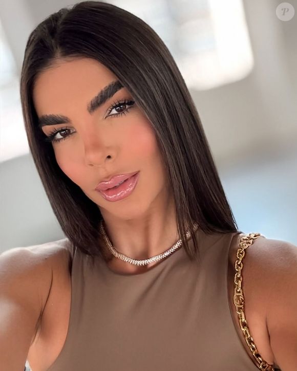 As autoridades alegaram que ela representava uma "ameaça" ao país, não apenas pelo medicamento, mas também por mensagens em seu celular que indicavam intenção de abrir uma empresa nos EUA e questionamentos sobre o green card, levantando suspeitas de possíveis atividades ilegais.