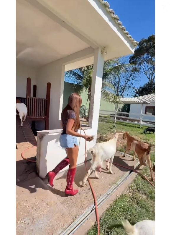 Nicole Bahls tem um belo sítio, refúgio de animais, no Rio