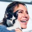 Ramiro Calle, mestre de meditação, sobre os gatos: 'Eles são iogues natos. Entram em estados de êxtase com os olhos perdidos no infinito e relaxam como ninguém'