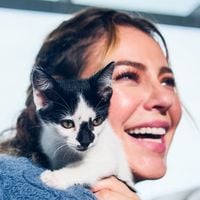 Ramiro Calle, mestre de meditação, sobre os gatos: 'Eles são iogues natos. Entram em estados de êxtase com os olhos perdidos no infinito e relaxam como ninguém'