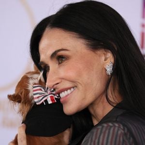 Pilaf, cachorrinha de Demi Moore tem aproximadamente 1,2 kg.