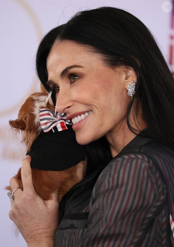 Pilaf, cachorrinha de Demi Moore tem aproximadamente 1,2 kg.