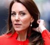 Segundo informou o portal de entretenimento americano 'RadarOnline', tudo indica que a Princesa Kate Middleton esteve em uma conversa secreta com o cunhado.