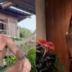 Refúgio de luxo a 70 km de Ilhéus com diárias de R$ 21 mil: Cauã Reymond viaja para destino paradisíaco com suposta nova namorada, ex-affair de Gabriel Medina e João Guilherme Silva