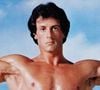 Em 1982, Stallone chegou a 2,9% de gordura corporal para 'Rocky III' com uma dieta absurda que custou sua saúde: '25 xícaras de café por dia com mel e algumas porções de atum'