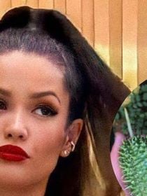 Esquecido por muitas, mas lembrado por Juliette no 'Big Brother' e repleto de benefícios: o maxixe é uma joia desconhecida para saúde feminina