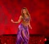 Shakira transformou uma área de 30 hectares em Madri em uma cidade dedicada à música e à cultura latina. O complexo tem estádio próprio e atrações que vão muito além dos shows da cantora