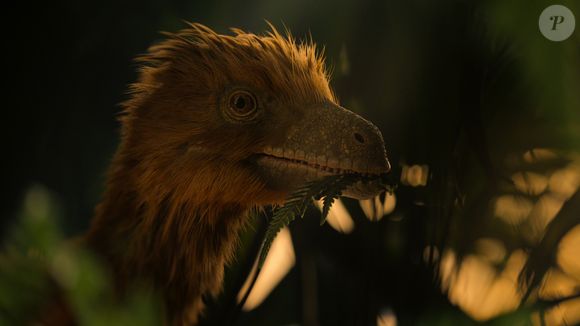 Série 'Dinossauros' já está disponível na Netflix: tem classificação etária a partir dos 10 anos de idade.