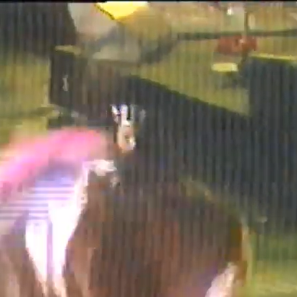 Rita Lee trouxe uma modelo nua ao palco na performance de ‘Miss Brasil 2000’