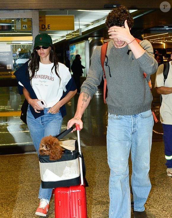 Shawn Mendes carregava a cadelinha Chihiro, adotada pela atriz durante uma viagem com o ex-namorado João Guilherme ao Japão / Saúde bucal, olhos e articulações exigem atenção: veterinário explica os principais cuidados com o Poodle Toy