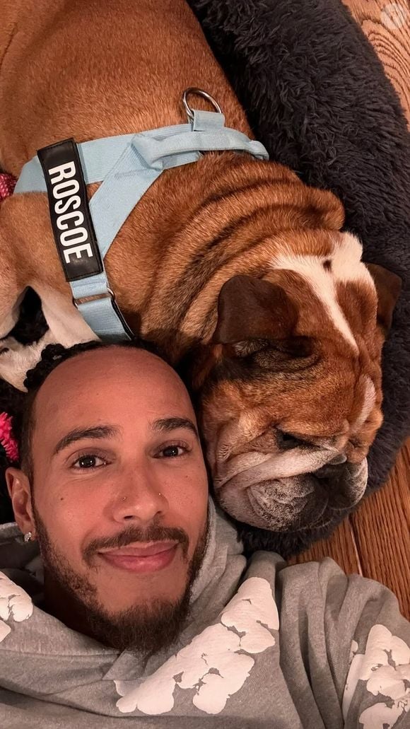 Roscoe, o cachorro de estimação de Lewis Hamilton, morreu neste domingo (28), após 12 anos ao lado do tutor