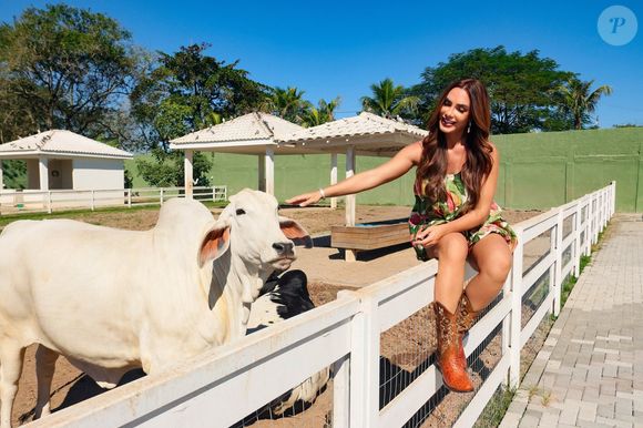 Sítio de Nicole Bahls fica a 2h30 da capital do Rio de Janeiro