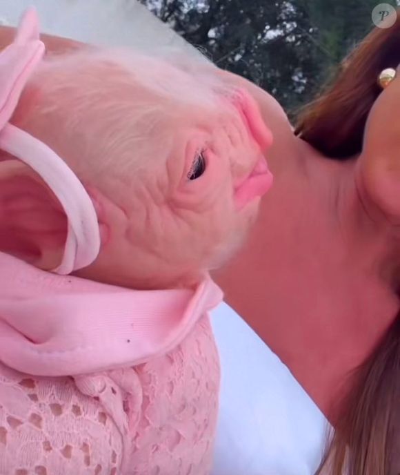 Nicole Bahls também já adotou duas bebês reborn, sendo uma de aparência 'suína', isto é, de porquinha, e outra uma bebê comum.