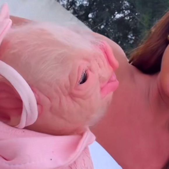 Nicole Bahls também já adotou duas bebês reborn, sendo uma de aparência 'suína', isto é, de porquinha, e outra uma bebê comum.