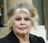 Qual a fortuna e o patrimônio de Brigitte Bardot? Ícone do cinema francês deixa casas e milhões para único filho