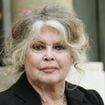 Qual a fortuna e o patrimônio de Brigitte Bardot? Ícone do cinema francês deixa casas e milhões para único filho