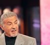 Sylvester Stallone tem 80 anos e celebra cinco décadas como um dos maiores astros de Hollywood. Antes de interpretar Rocky Balboa e John Rambo, o ator enfrentou rejeições, dificuldades financeiras e trabalhos muito distantes da fama