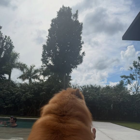 Adriane Galisteu aproveitou o feriado em uma fazenda luxuosa no interior de São Paulo