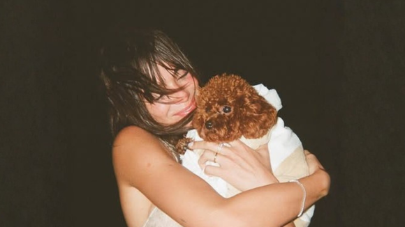A ciência confirma: muito além do carisma, a cachorrinha de Bruna Marquezine, Chihiro, é da 2ª raça mais bem-colocada em ranking com 133 concorrentes por forte habilidade