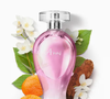 Anni (O Boticário) - 200ml | R$134,90 - é para quem ama perfumes delicados e românticos, com uma proposta doce e refrescante, a fragrância remete a um verdadeiro campo de flores, trazendo aquela sensação aconchegante de um fim de tarde tranquilo