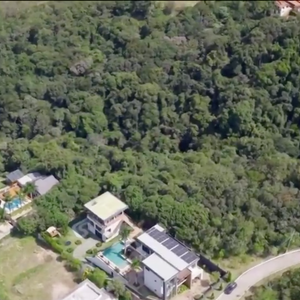 Maiara e Maraisa estão cercadas por uma floresta repleta de árvores
