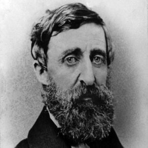 O escritor americano Henry David Thoreau transformou sua experiência de viver afastado da sociedade em reflexões sobre solidão, liberdade e convivência. Em 'Walden', ele mostrou que a distância física não determina a conexão entre duas pessoas
