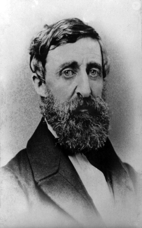 O escritor americano Henry David Thoreau transformou sua experiência de viver afastado da sociedade em reflexões sobre solidão, liberdade e convivência. Em 'Walden', ele mostrou que a distância física não determina a conexão entre duas pessoas
